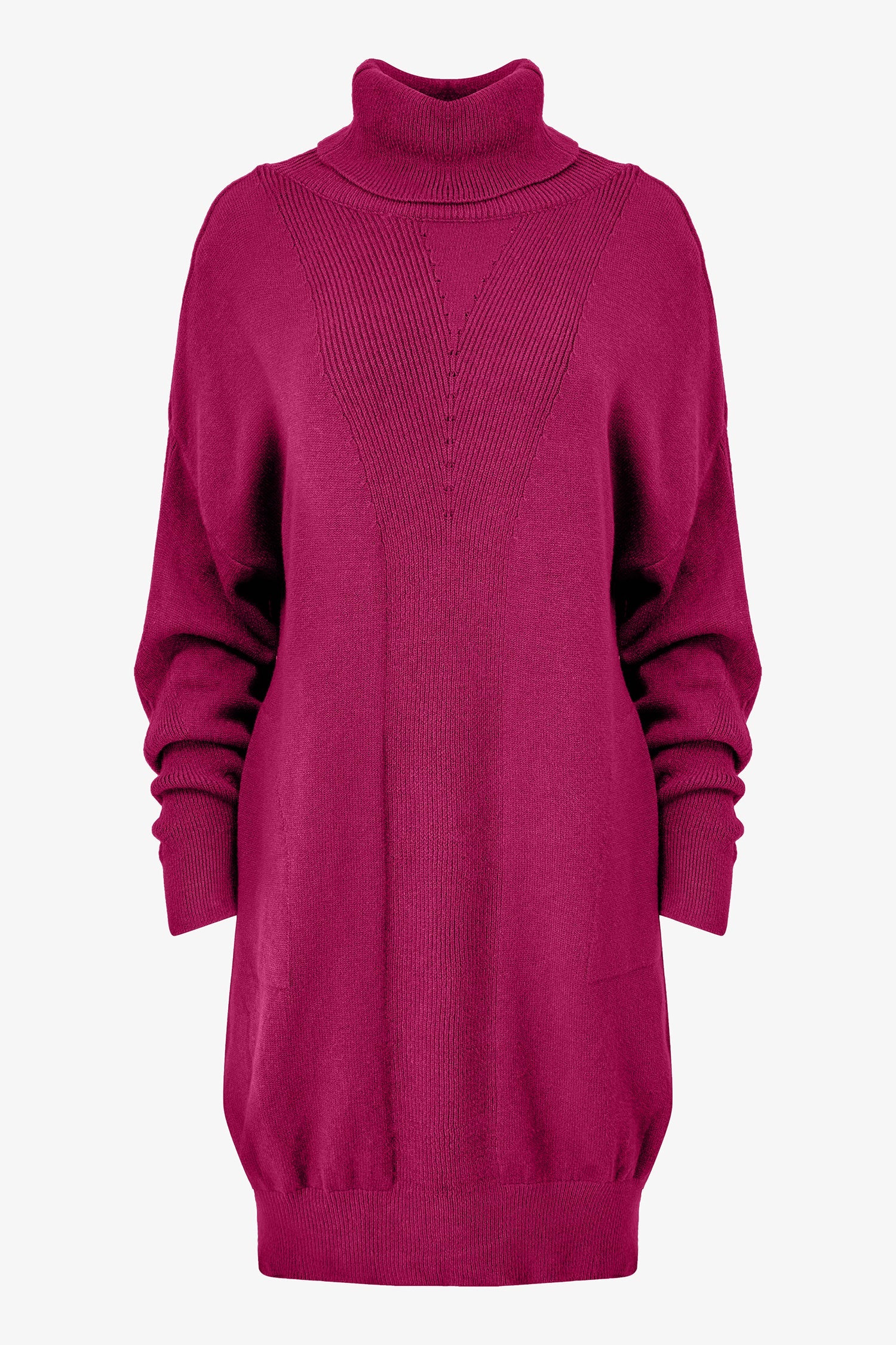 Women's Knit Turtle-Neck Dress